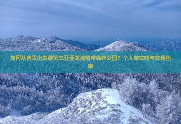 如何从自贡出发游览三亚亚龙湾热带森林公园？个人游攻略与交通指南