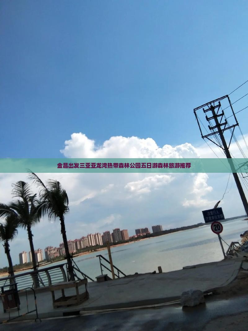 金昌出发三亚亚龙湾热带森林公园五日游森林旅游推荐