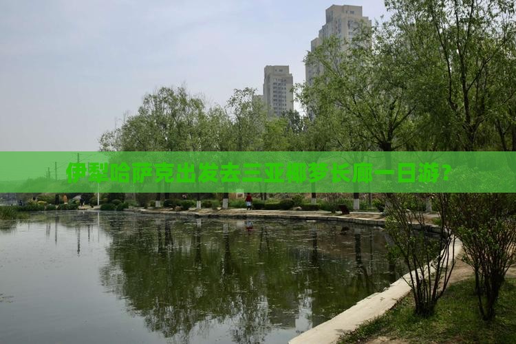 伊犁哈萨克出发去三亚椰梦长廊一日游？