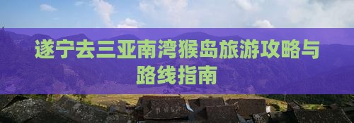 遂宁去三亚南湾猴岛旅游攻略与路线指南