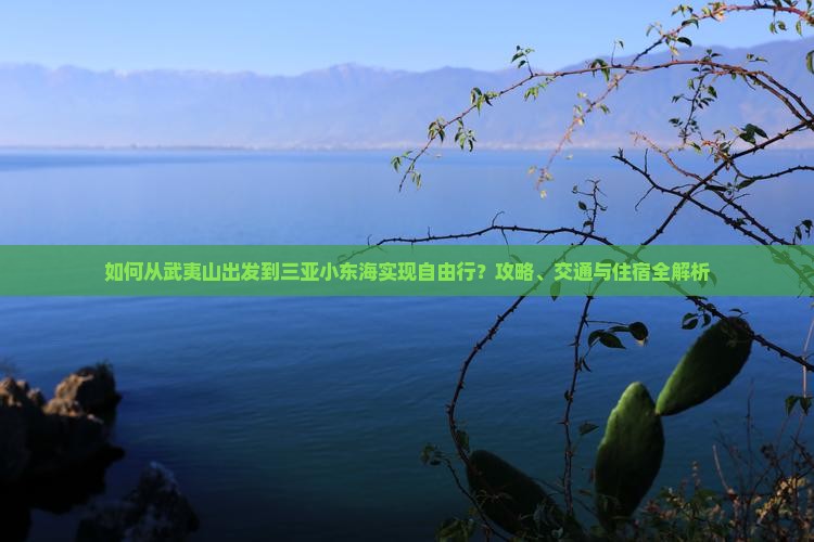 如何从武夷山出发到三亚小东海实现自由行？攻略、交通与住宿全解析