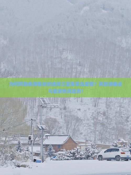 为何阿勒泰游客纷纷选择三亚呆呆岛度假？其旅游痛点与最新热词趋势！