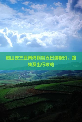 眉山去三亚南湾猴岛五日游报价、路线及出行攻略