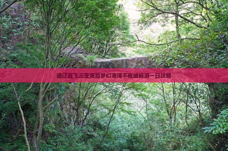 通辽直飞三亚海昌梦幻海洋不夜城畅游一日攻略