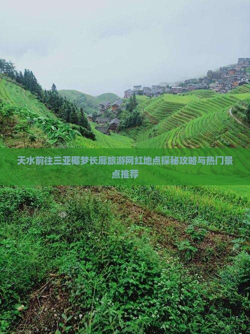 天水前往三亚椰梦长廊旅游网红地点探秘攻略与热门景点推荐