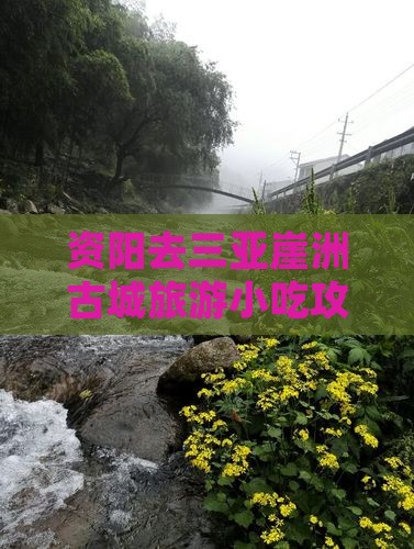 资阳去三亚崖洲古城旅游小吃攻略与美食指南