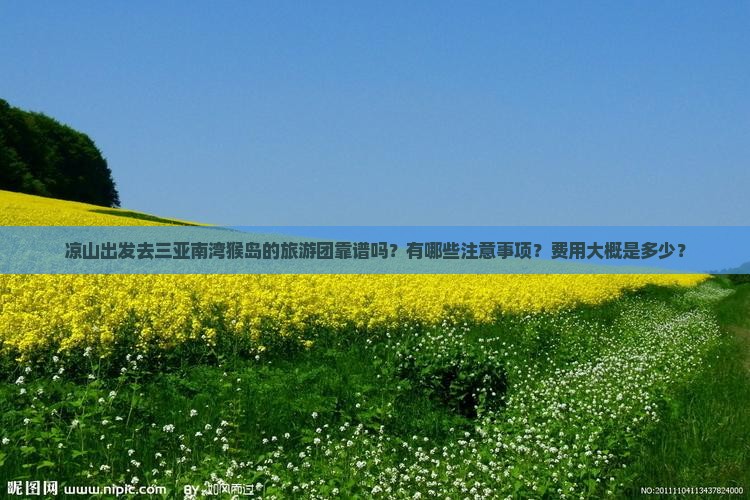 凉山出发去三亚南湾猴岛的旅游团靠谱吗？有哪些注意事项？费用大概是多少？