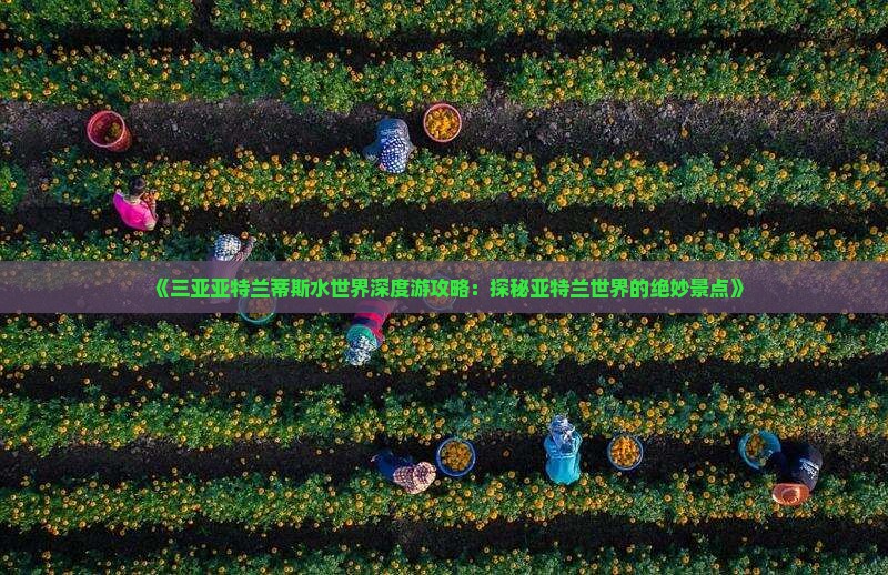 《三亚亚特兰蒂斯水世界深度游攻略：探秘亚特兰世界的绝妙景点》