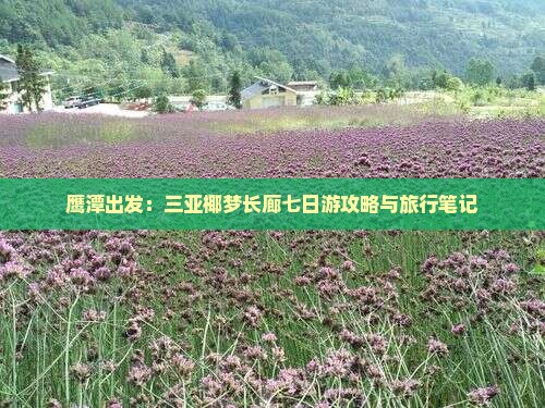 鹰潭出发：三亚椰梦长廊七日游攻略与旅行笔记