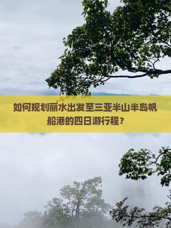 如何规划丽水出发至三亚半山半岛帆船港的四日游行程？