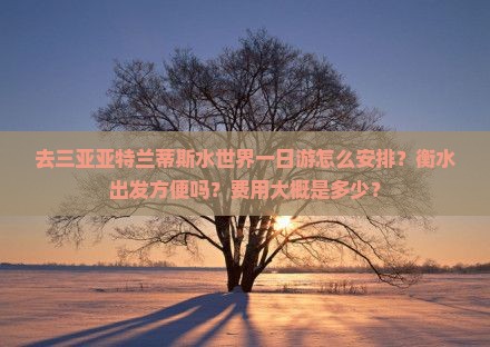 去三亚亚特兰蒂斯水世界一日游怎么安排？衡水出发方便吗？费用大概是多少？