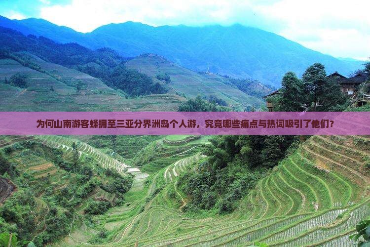 为何山南游客蜂拥至三亚分界洲岛个人游，究竟哪些痛点与热词吸引了他们？