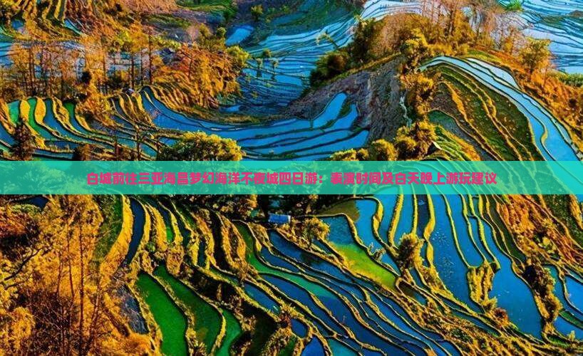 白城前往三亚海昌梦幻海洋不夜城四日游：表演时间及白天晚上游玩建议