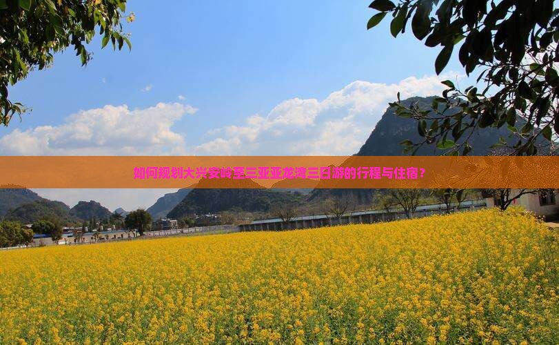 如何规划大兴安岭至三亚亚龙湾三日游的行程与住宿？