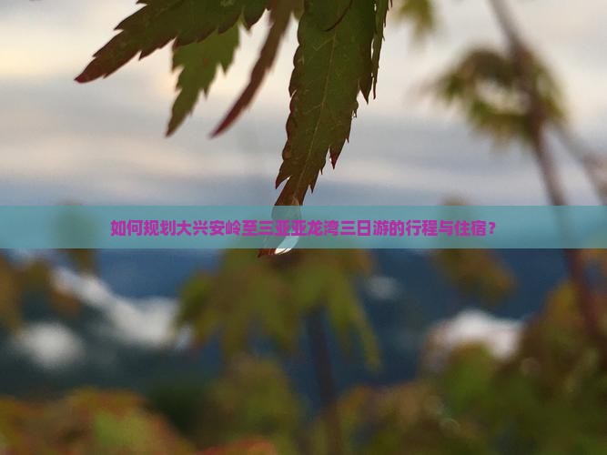 如何规划大兴安岭至三亚亚龙湾三日游的行程与住宿？