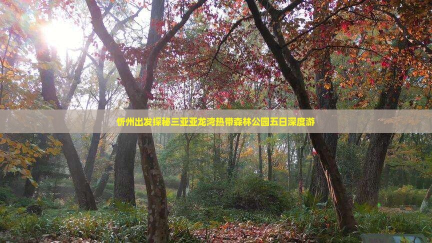 忻州出发探秘三亚亚龙湾热带森林公园五日深度游