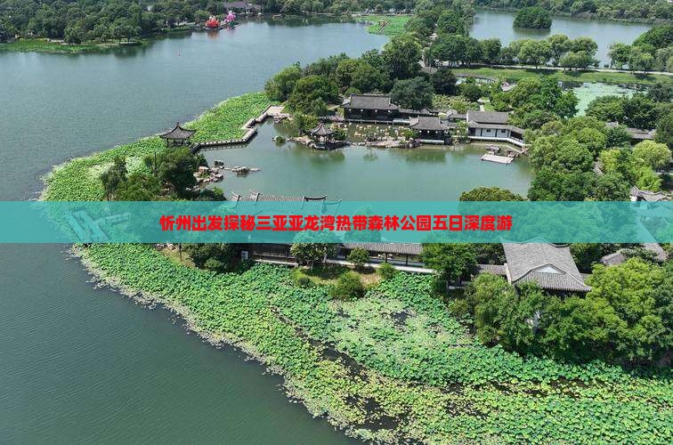 忻州出发探秘三亚亚龙湾热带森林公园五日深度游