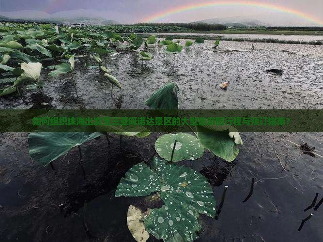 如何组织珠海出发至三亚呀诺达景区的大型旅游团行程与预订指南？