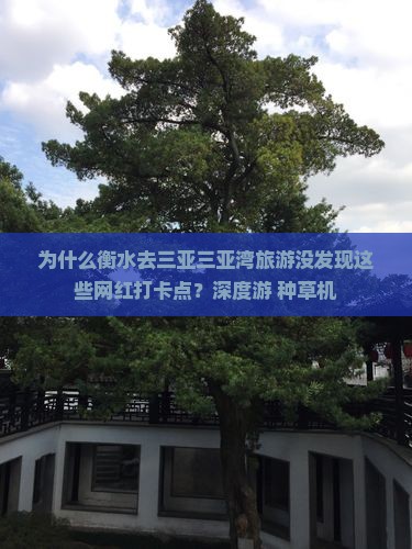 为什么衡水去三亚三亚湾旅游没发现这些网红打卡点？深度游+种草机
