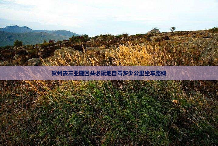 贺州去三亚鹿回头必玩地自驾多少公里坐车路线