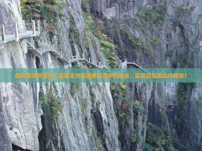 如何解决鹤壁至三亚蜈支洲岛团体旅游中的痛点，实现高品质出行体验？