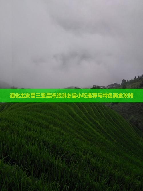 通化出发至三亚后海旅游必尝小吃推荐与特色美食攻略