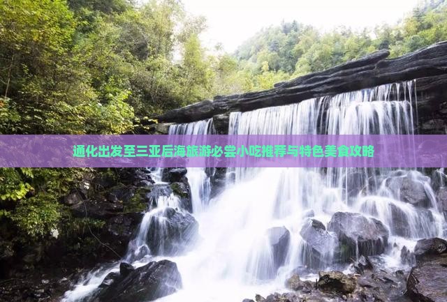 通化出发至三亚后海旅游必尝小吃推荐与特色美食攻略