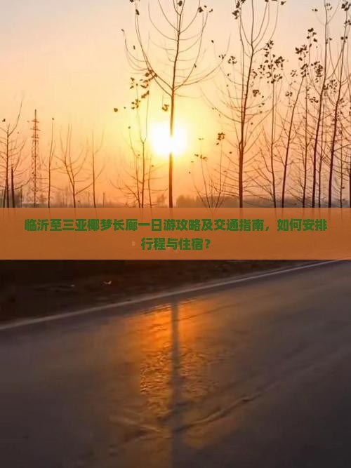 临沂至三亚椰梦长廊一日游攻略及交通指南，如何安排行程与住宿？