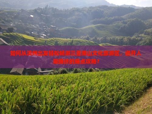 如何从滨州出发轻松畅游三亚南山文化旅游区，避开人潮拥挤的痛点攻略？