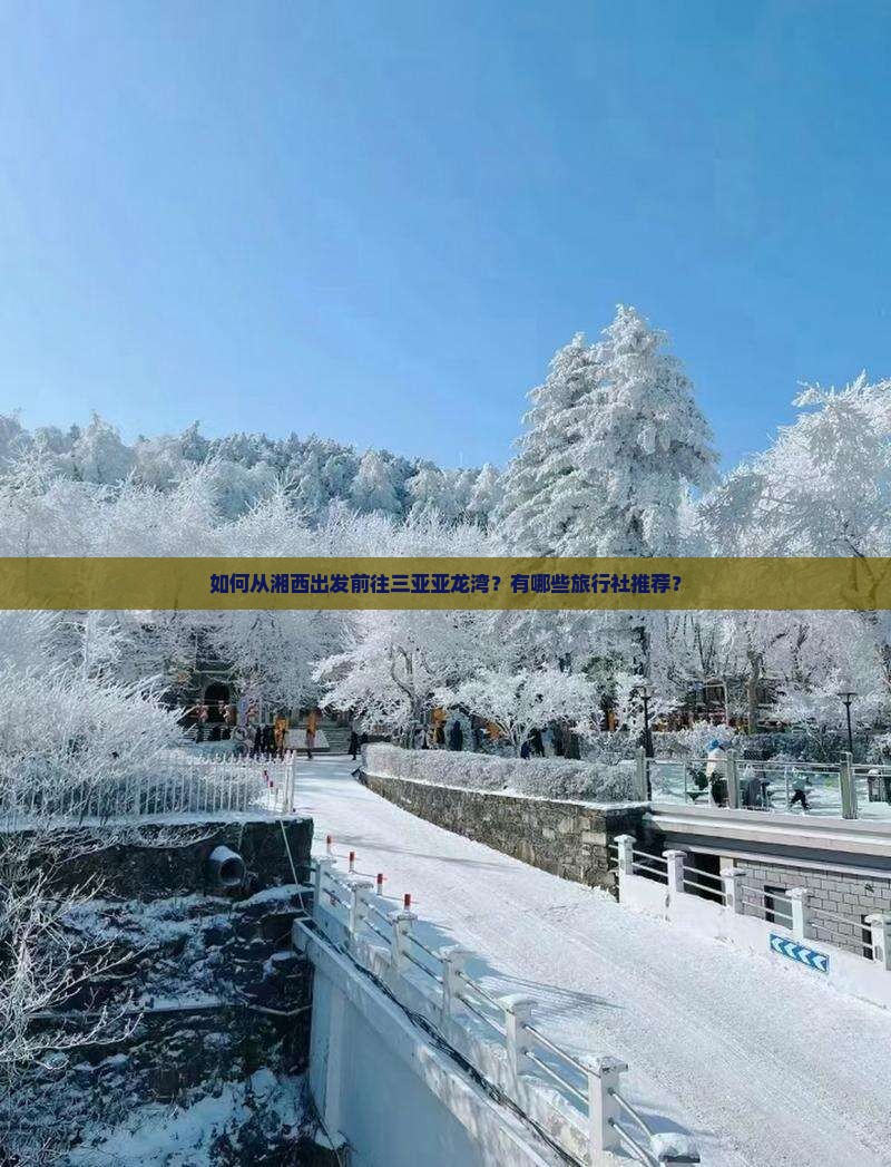 如何从湘西出发前往三亚亚龙湾？有哪些旅行社推荐？