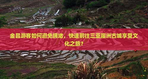 金昌游客如何避免拥堵，快速前往三亚崖洲古城享受文化之旅？