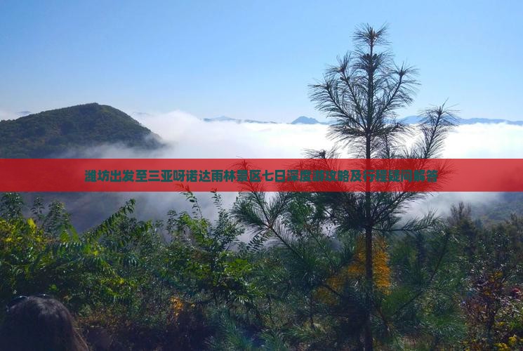 潍坊出发至三亚呀诺达雨林景区七日深度游攻略及行程疑问解答