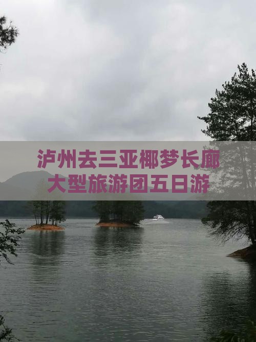 泸州去三亚椰梦长廊大型旅游团五日游