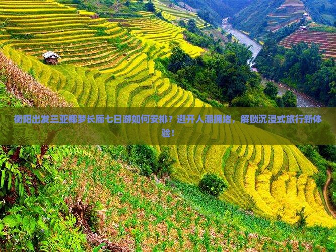 衡阳出发三亚椰梦长廊七日游如何安排？避开人潮拥堵，解锁沉浸式旅行新体验！