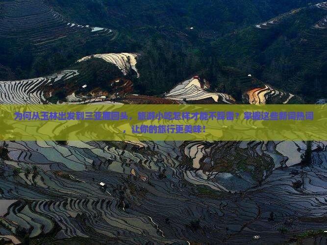 为何从玉林出发到三亚鹿回头，旅游小吃怎样才能不踩雷？掌握这些新词热词，让你的旅行更美味！