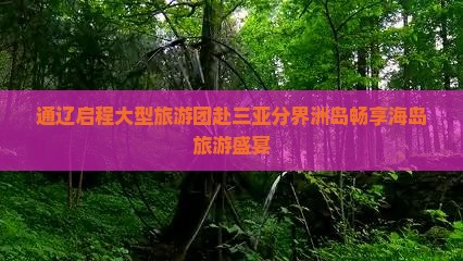 通辽启程大型旅游团赴三亚分界洲岛畅享海岛旅游盛宴