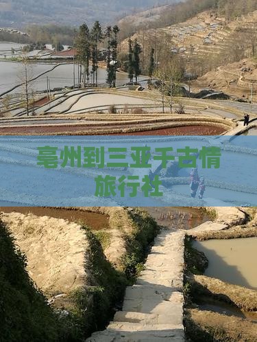 亳州到三亚千古情旅行社
