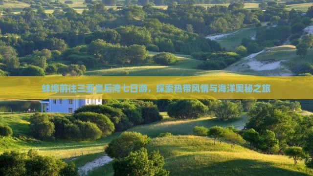 蚌埠前往三亚皇后湾七日游，探索热带风情与海洋奥秘之旅