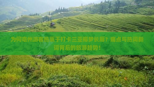 为何亳州游客热衷于打卡三亚椰梦长廊？痛点与热词新词背后的旅游趋势！