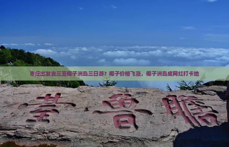 枣庄出发去三亚椰子洲岛三日游？椰子价格飞涨，椰子洲岛成网红打卡地