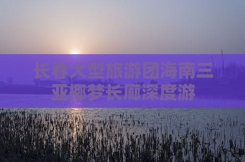 长春大型旅游团海南三亚椰梦长廊深度游