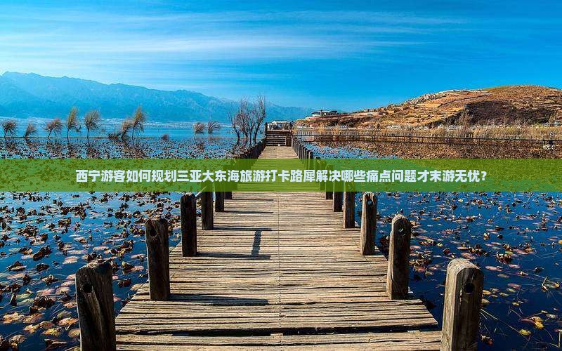 西宁游客如何规划三亚大东海旅游打卡路犀解决哪些痛点问题才末游无忧？