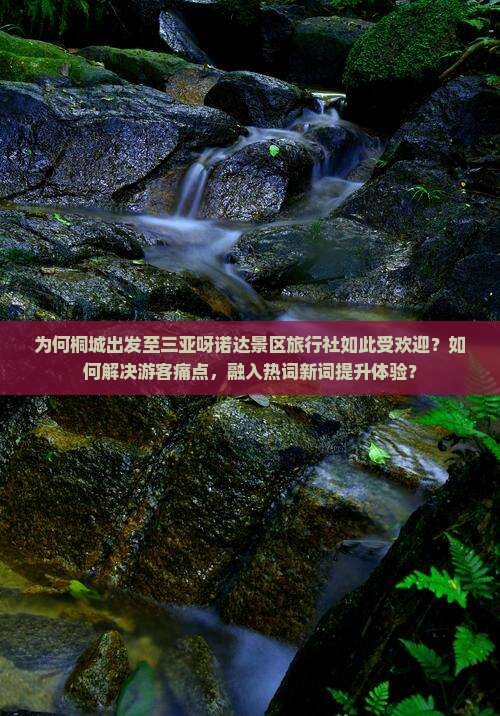 为何桐城出发至三亚呀诺达景区旅行社如此受欢迎？如何解决游客痛点，融入热词新词提升体验？