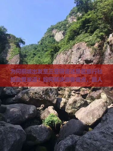 为何桐城出发至三亚呀诺达景区旅行社如此受欢迎？如何解决游客痛点，融入热词新词提升体验？