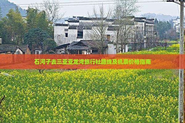 石河子去三亚亚龙湾旅行社路线及机票价格指南