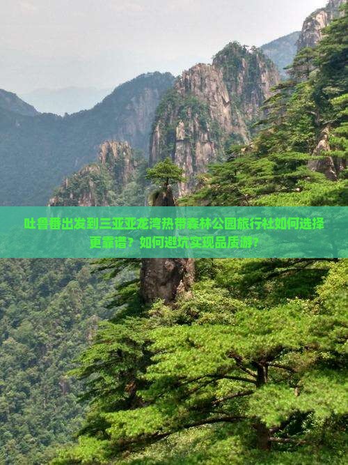 吐鲁番出发到三亚亚龙湾热带森林公园旅行社如何选择更靠谱？如何避坑实现品质游？
