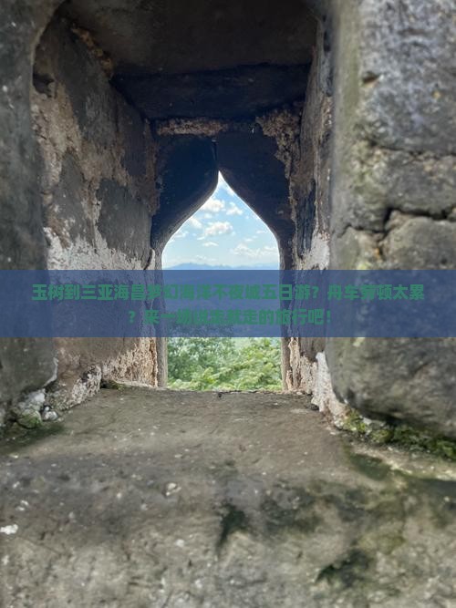 玉树到三亚海昌梦幻海洋不夜城五日游？舟车劳顿太累？来一场说走就走的旅行吧！