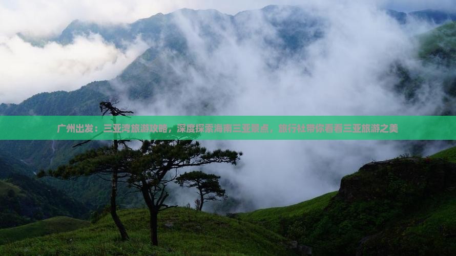 广州出发：三亚湾旅游攻略，深度探索海南三亚景点，旅行社带你看看三亚旅游之美
