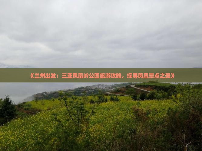 《兰州出发：三亚凤凰岭公园旅游攻略，探寻凤凰景点之美》