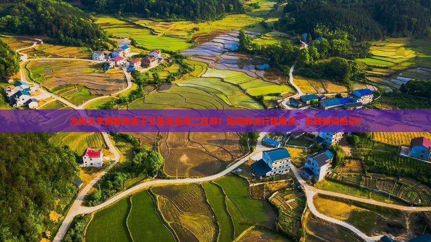 为何大丰游客热衷于三亚皇后湾二日游?如何解决行程痛点,玩转新词热词? 为何大丰游客热衷于三亚皇后湾二日游?如何解决行程痛点,玩转新词热词?